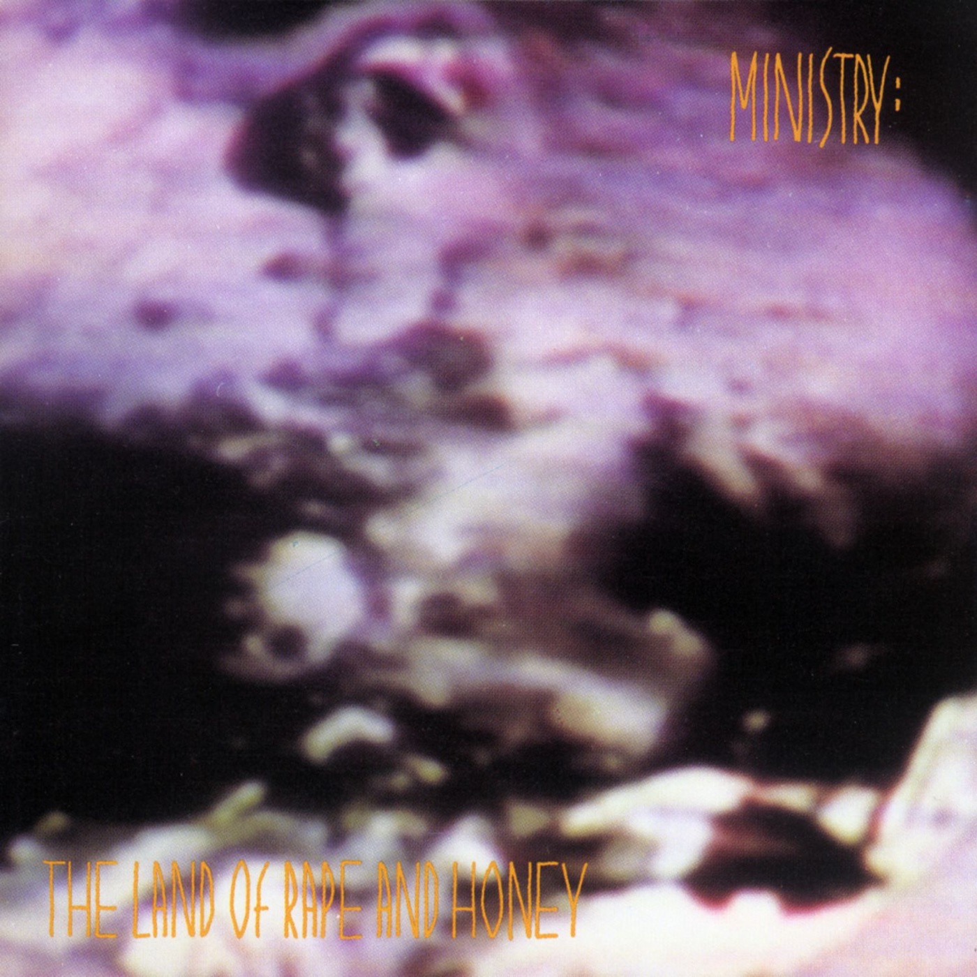 Ministry - Flashback